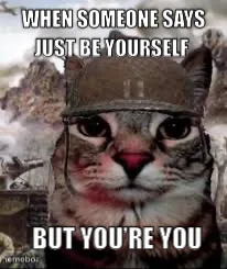 1000 yard stare cat meme created by the community