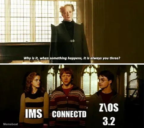 IMS