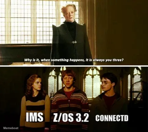 IMS