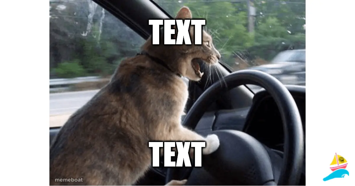 TEXT