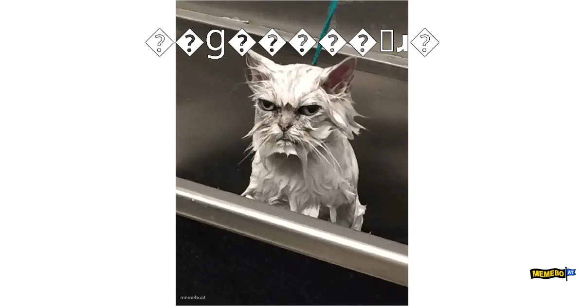 ��ɡ�����ܳɹ�