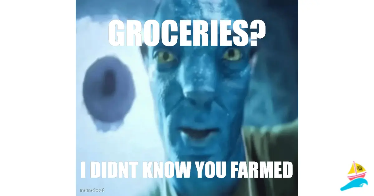 Groceries?