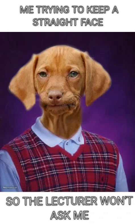 Me trying to keep a straight face