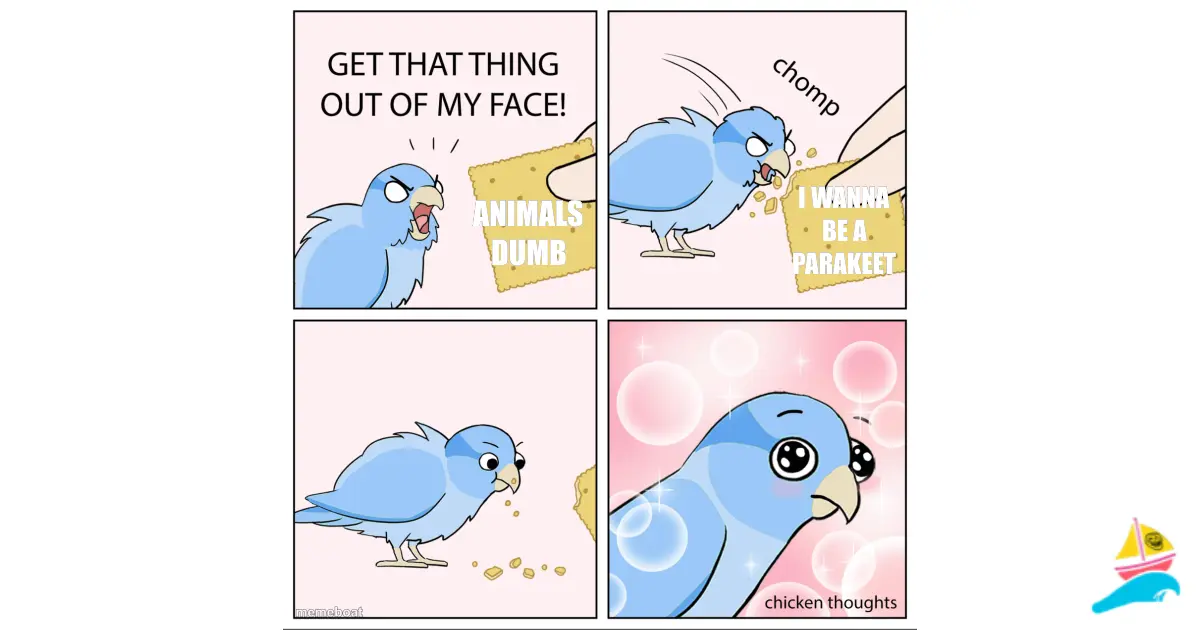 Animals Dumb