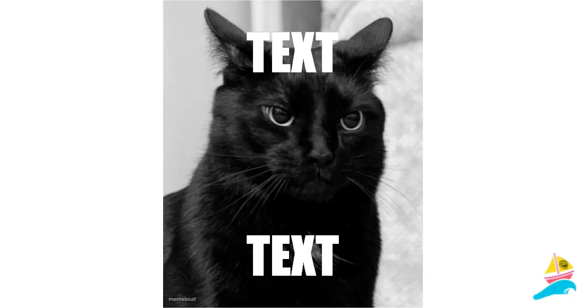 TEXT