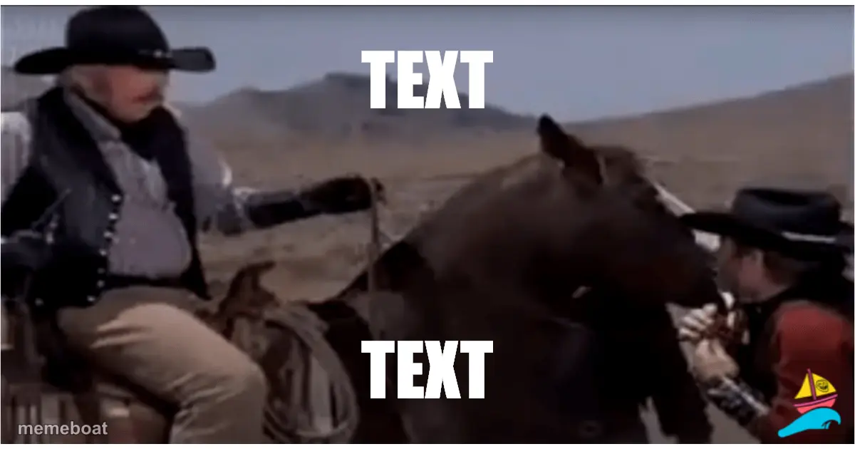 TEXT
