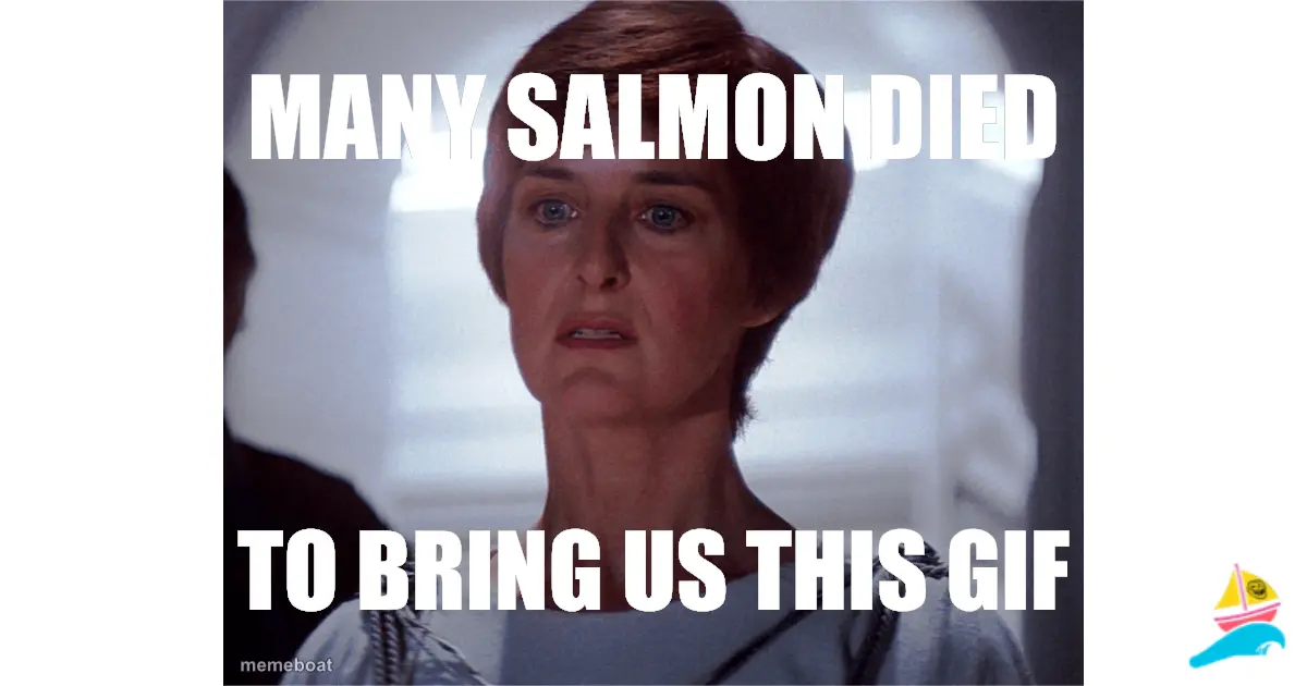 Many salmon died