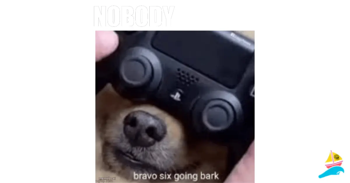 Nobody