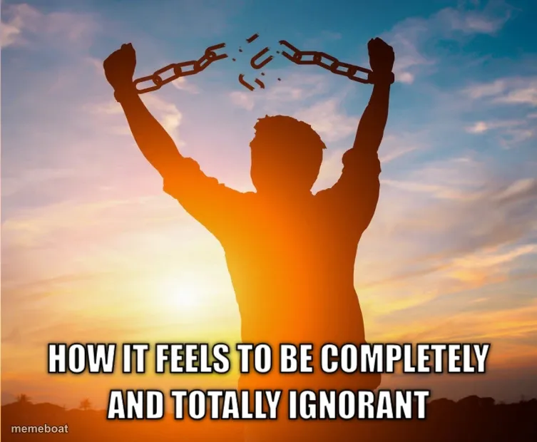 Breaking Free From Chains meme created by the community
