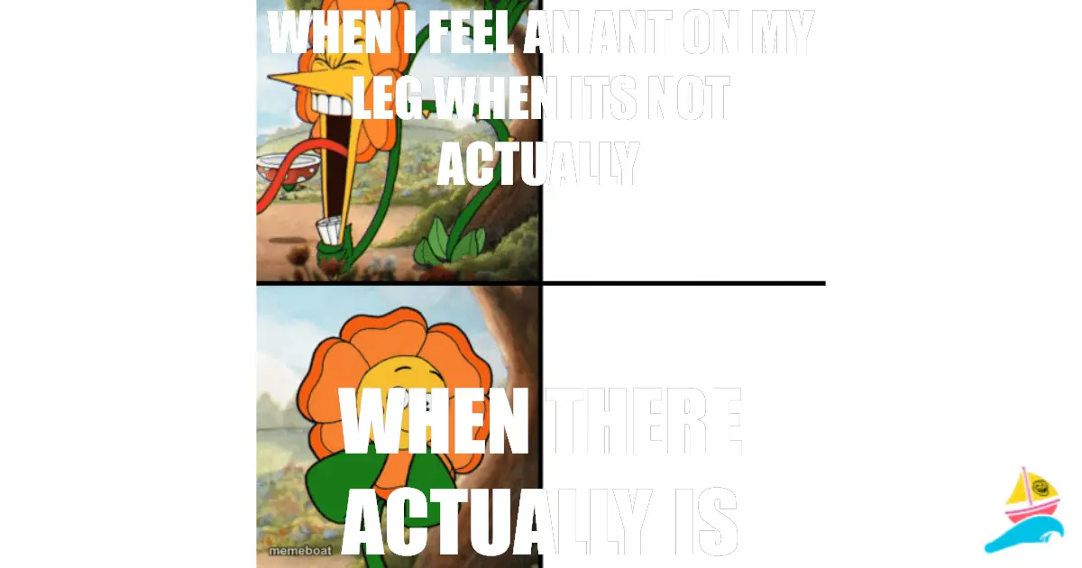 when I feel an ant on my leg when its not actually