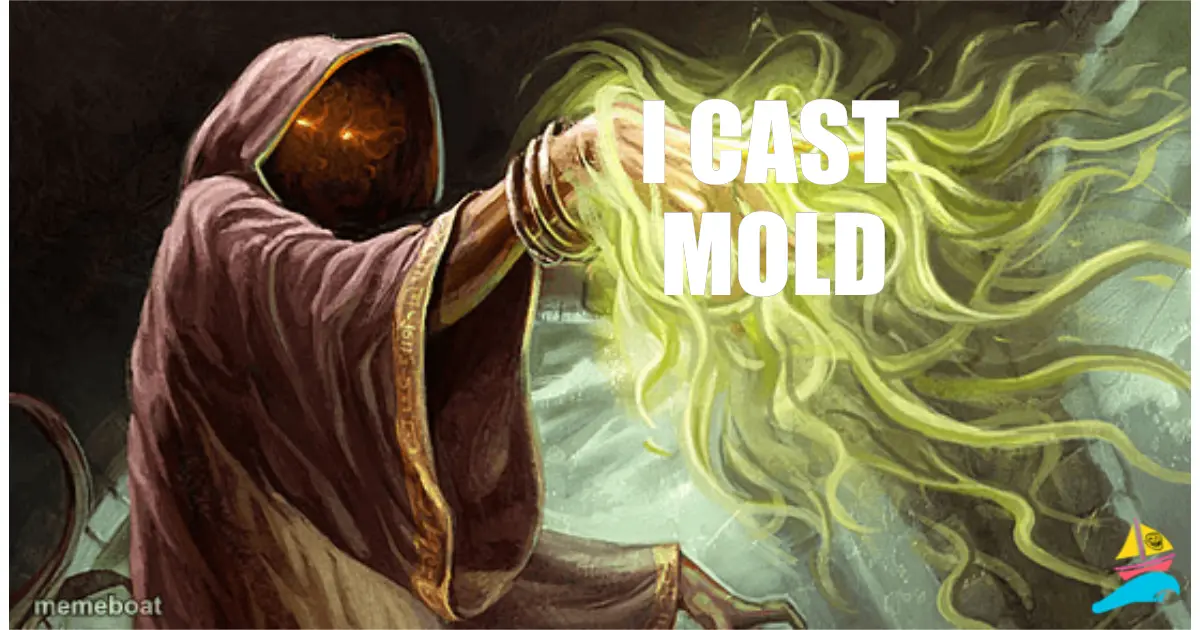I cast
