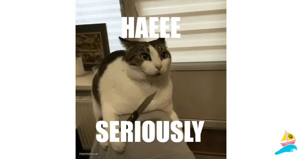 haeee