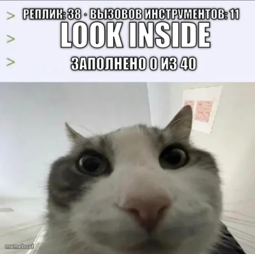 Cat Looking Up At Screen meme created by the community