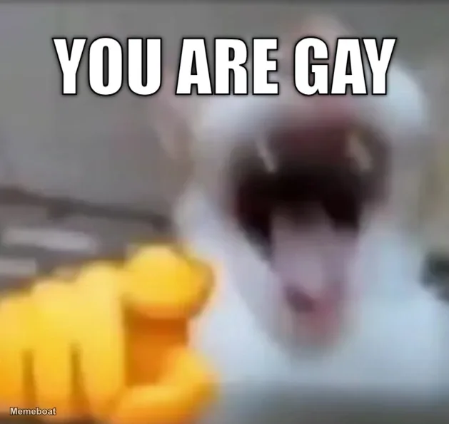 yOU ARE GAY