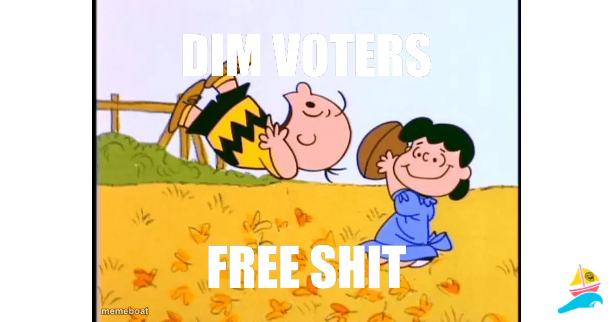 Dim voters