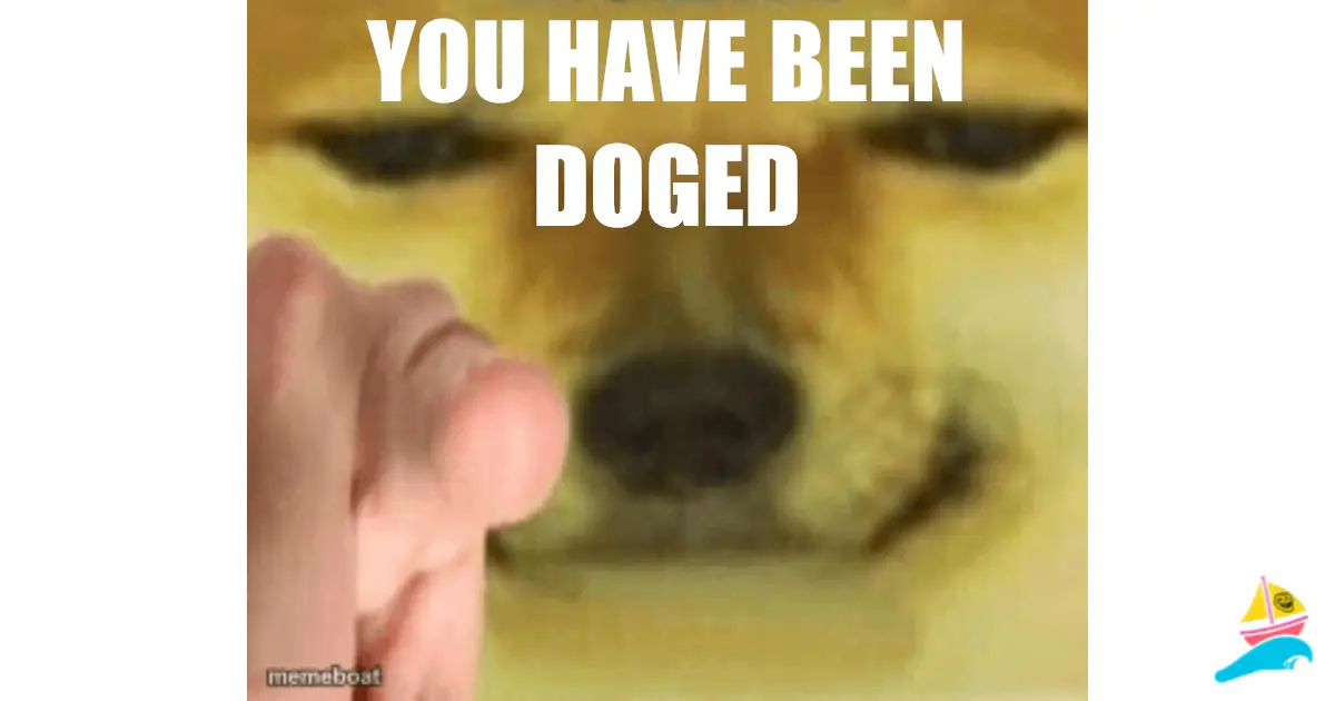 you have been doged