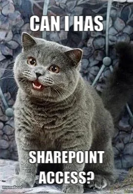 I can has cheezburger cat meme created by the community