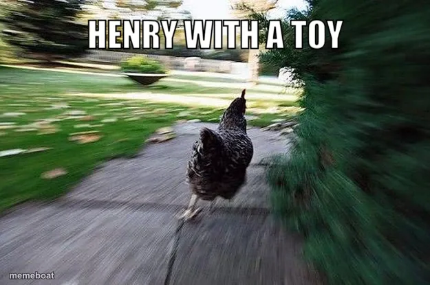 Henry with a toy