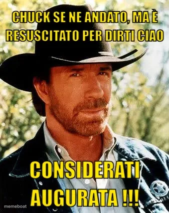 Chuck Norris meme created by the community