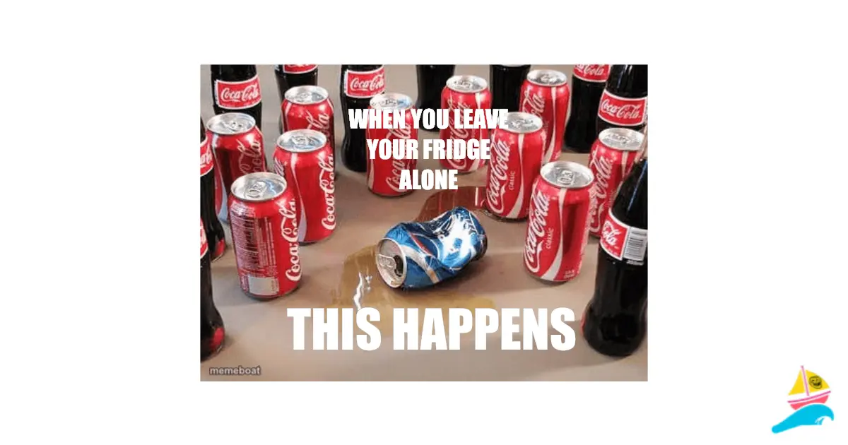 WHEN YOU LEAVE YOUR FRIDGE ALONE