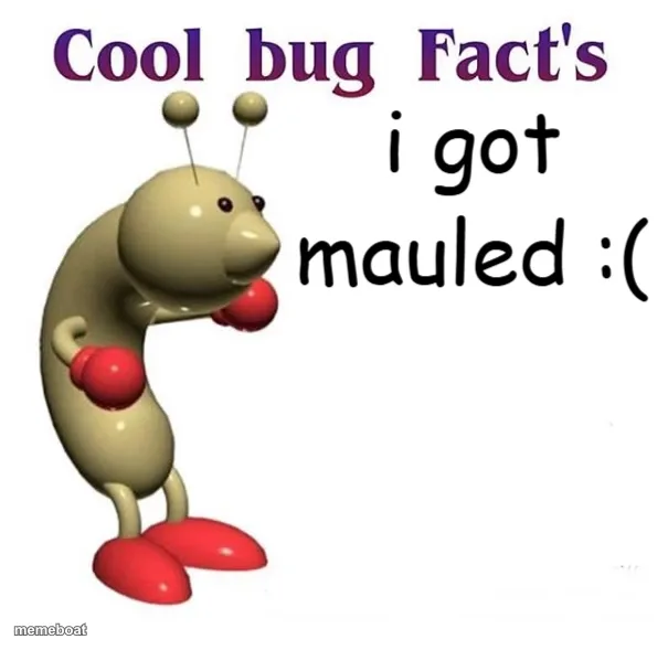 Cool Bug Facts meme created by the community