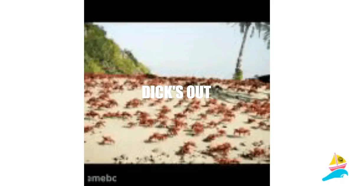 DICK'S OUT