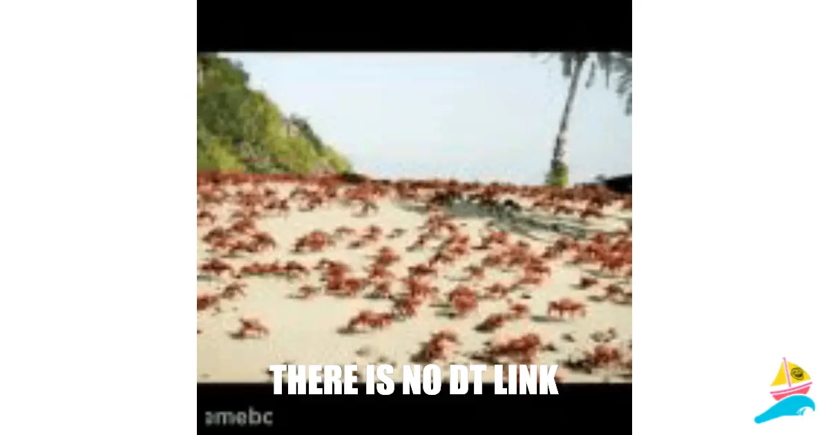 there is no dt link