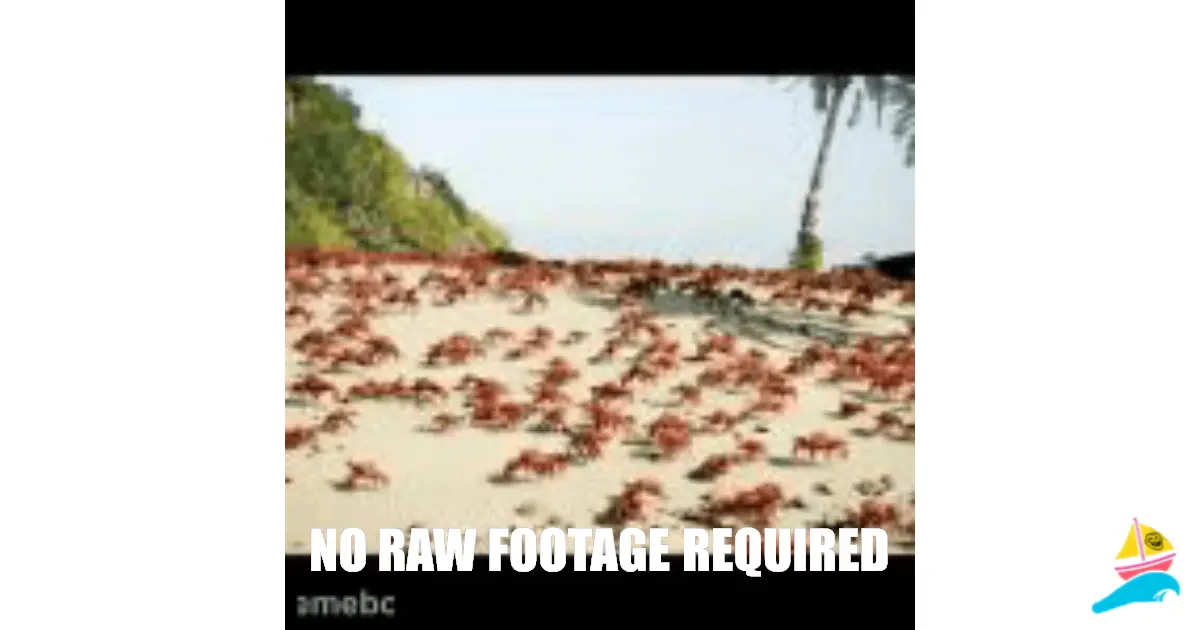 NO RAW FOOTAGE REQUIRED