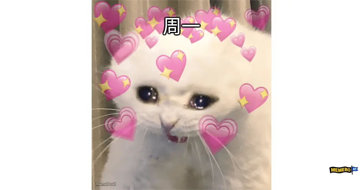 Crying Heart-Eyes Cat meme created by the community
