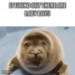 crying seal meme created by the community