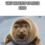 crying seal meme created by the community