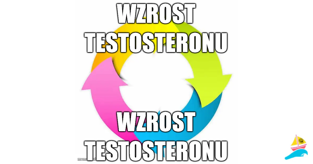 wzrost testosteronu