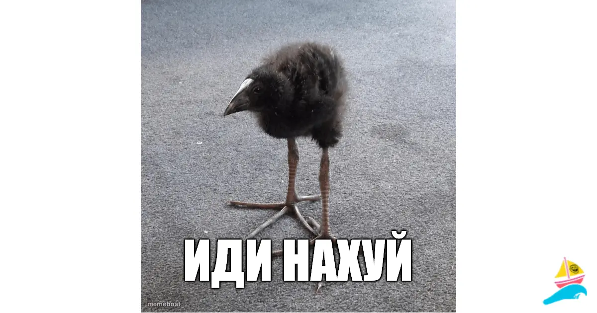 иди нахуй