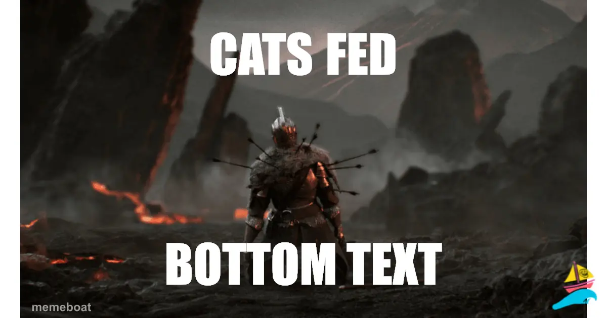 cats fed