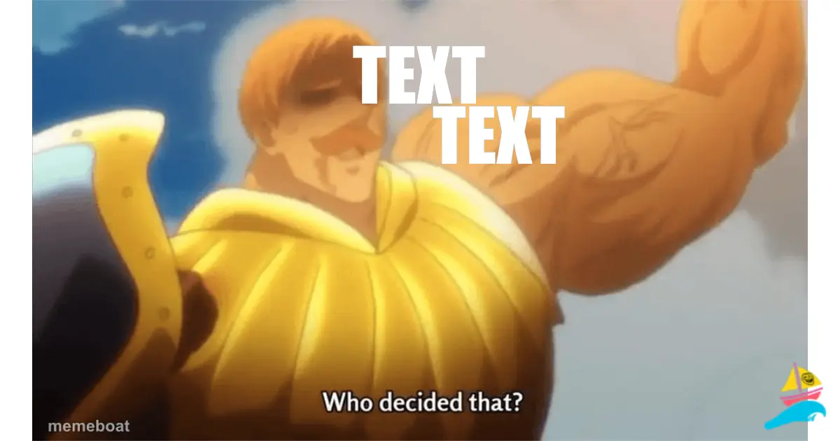 TEXT