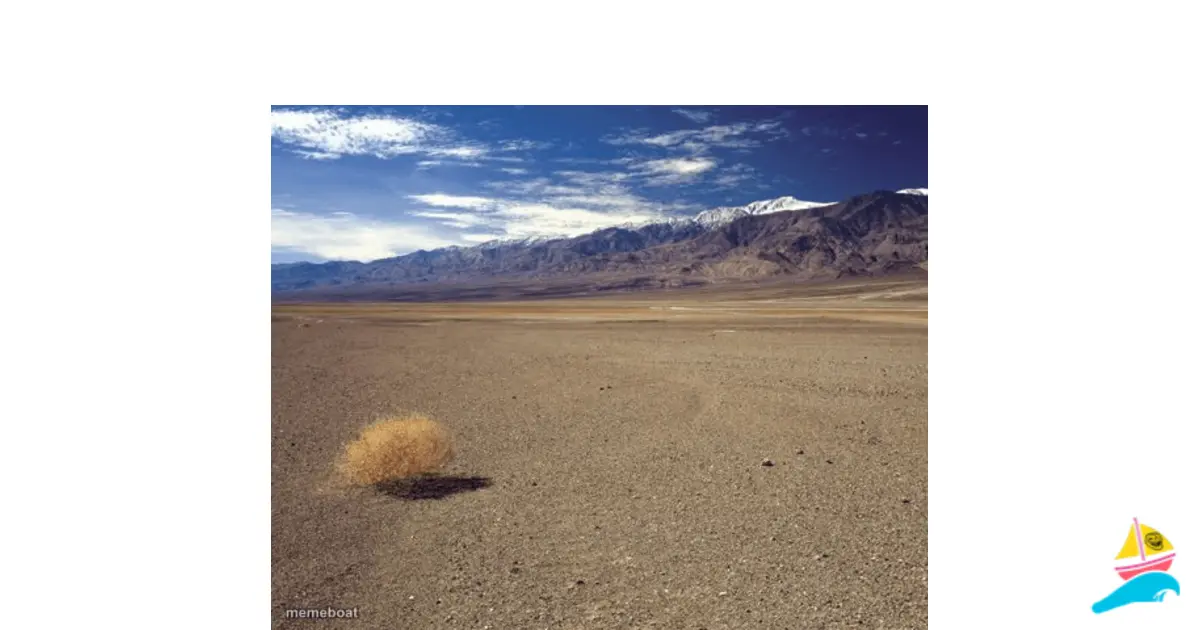 desert tumbleweed meme