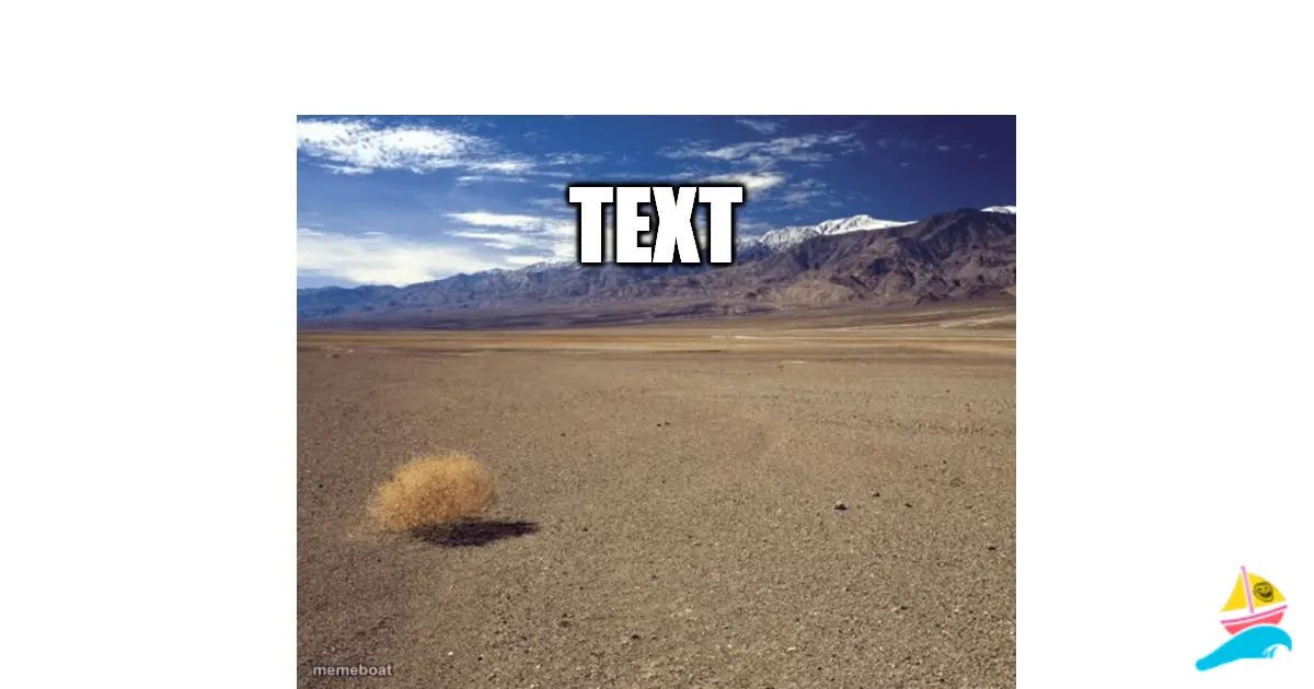 TEXT