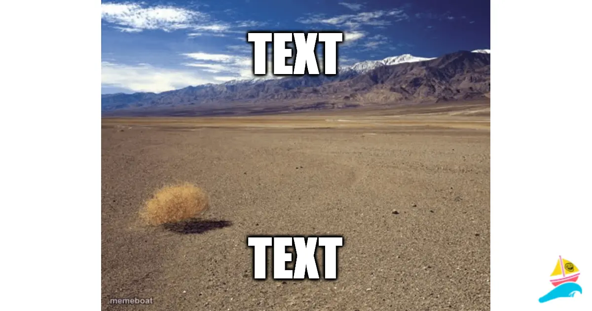 TEXT