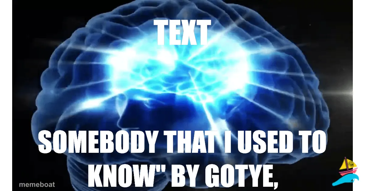 TEXT