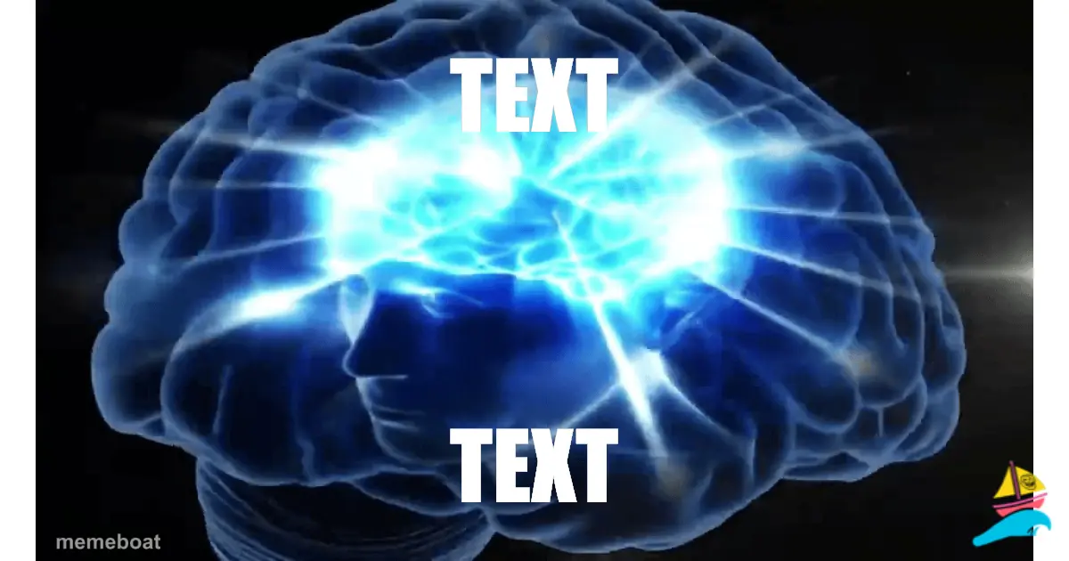 TEXT