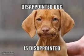 Disappointed Dog meme created by the community