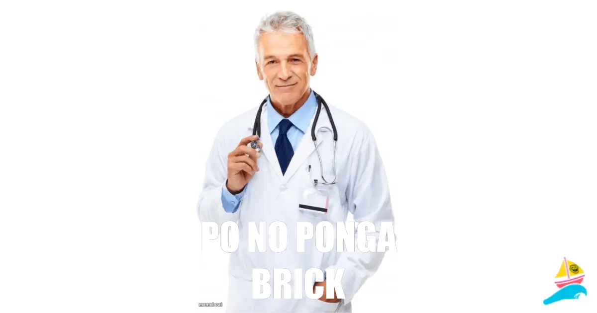 po no ponga brick