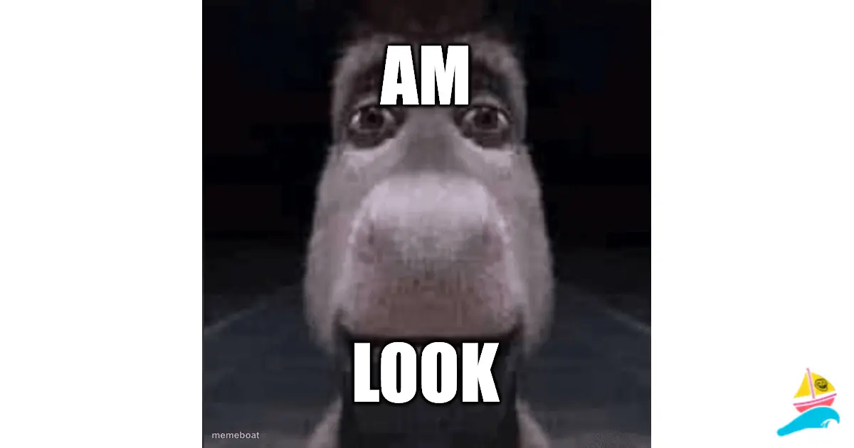 am