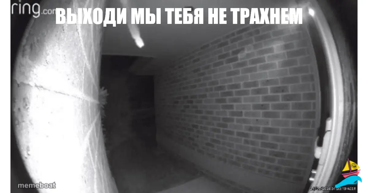 Выходи мы тебя не трахнем