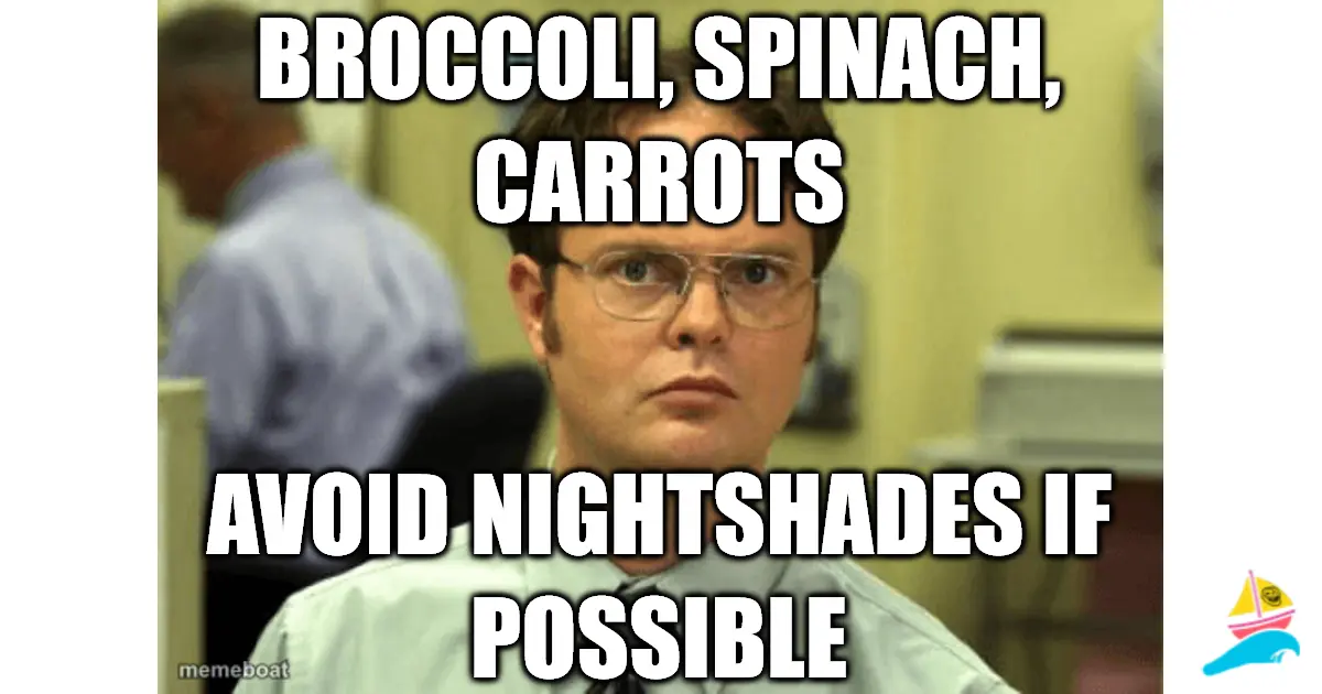Broccoli, spinach, carrots
