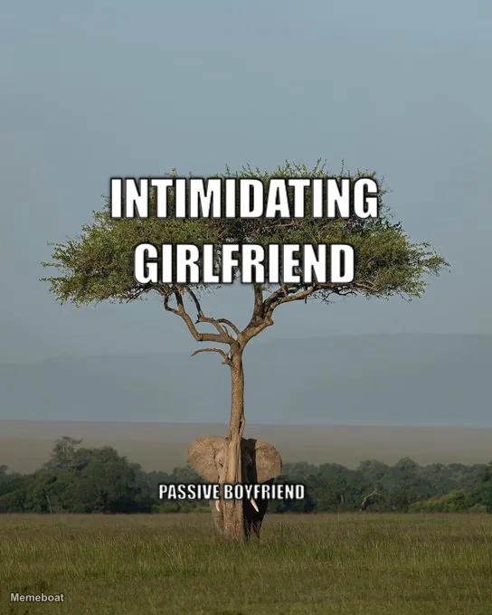 Elephant Hiding Behind Tree meme created by the community