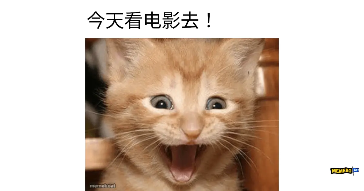 Excited Cat meme created by the community