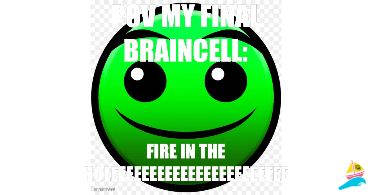 pov my final braincell: