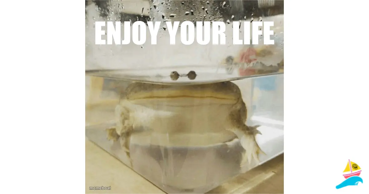 Enjoy your life
