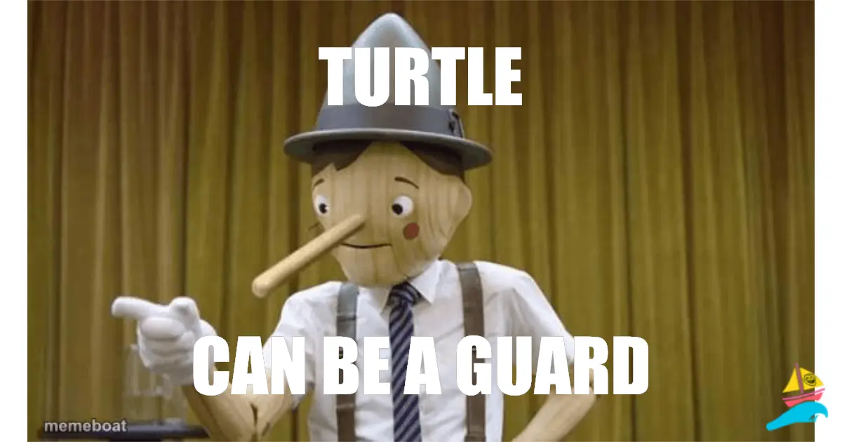 turtle